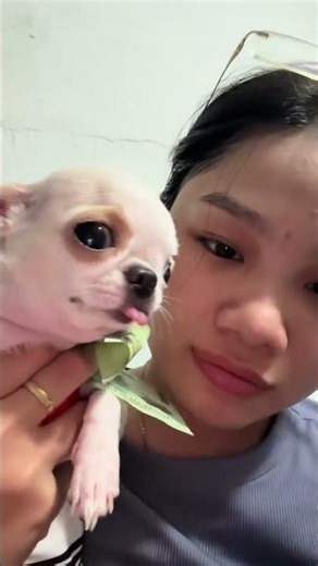 When The Puppy know important about The Money 😬 #pets #funny #dogvlog