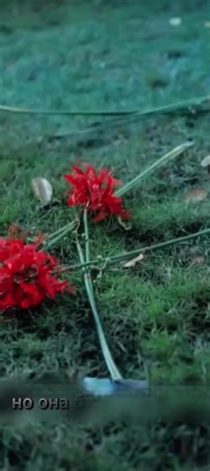 Exploring Short Films: Best Picks for 2023