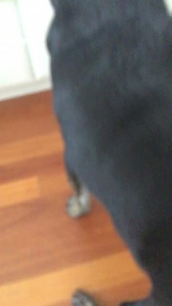 jscope0 (@jscope0)’s videos with Sin city - .