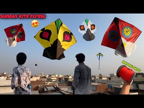 Kite Flying 🪁 || Biggest Kite Flying 😍 || Start Kite Season🔥 || Kite Flying 2026