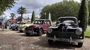 VIDÉO. Carte grise, assurances, pollution... Peut-on tout faire avec une voiture de collection ?