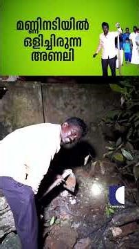 മണ്ണിനടിയിൽ ഒളിച്ചിരുന്ന അണലി #snakemaster #vavasuresh #russellsviper