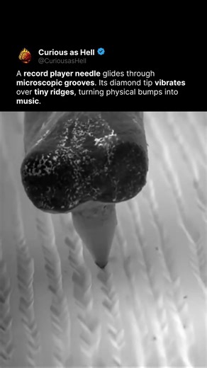 How a Tiny Diamond Reads Music 💎