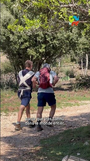 🌿 Sainte-Victoire : un trésor naturel à protéger !