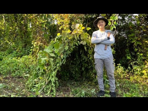 🏕️ How to Build a Small Hut from Bamboo & Tree Branches in the Forest 🌿🪓
