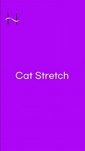 Cat Stretch