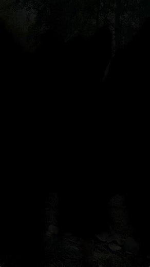 47 reactions |  Happy Halloween von Mex – unserem kleinen Courleys-Geist! ✨ Er spukt heute durch’s Nähzimmer und verteilt ein bisschen Nähzauber (und vielleicht auch Fadenchaos ). #CourleysCommunity #HappyHalloween #TeamCourleys #MexDerGeist #Nähliebe #Nähenmachtglücklich | Courleys | Facebook