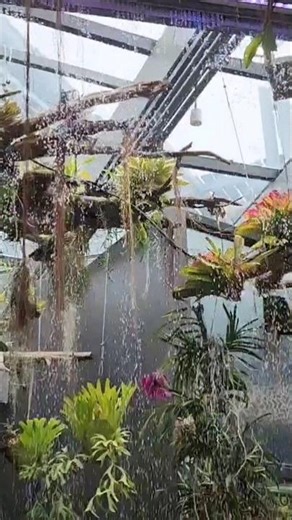 #GardensByTheBay #Singapore #VisitSingapore #SupertreeGrove #CloudForest #FlowerDome