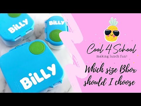 Which size B box lunchbox should you choose? Full review!