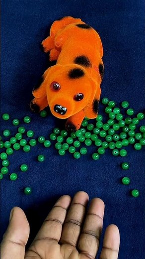 Reverse Beads drop Puppy 😹🙂😀❤️ #shorts #viralvideo #trending #viral