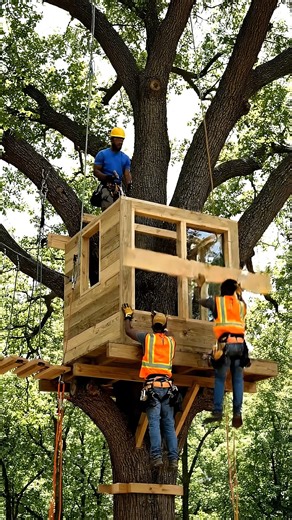 Jackie Lucas on Reels