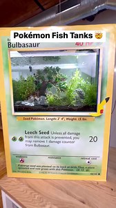 Pokémon Fish Tanks 🤯 | Aquarium Info