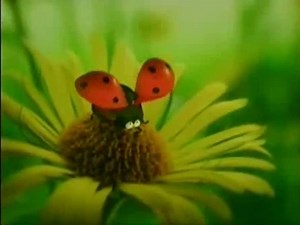 Minuscule - Ladybug against spider