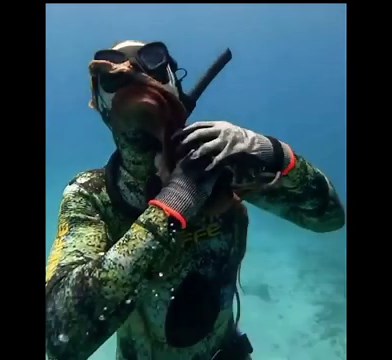 Diver Provokes Octopus and Gets Strangled in Dramatic Underwater Encounter | Must See!