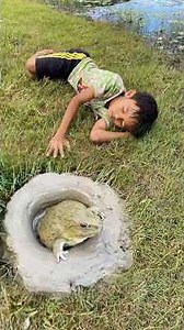 Wow ! Smart idea And Useful With Saving DIY Frog Trap #bushcraft #camping #outdoors #underground