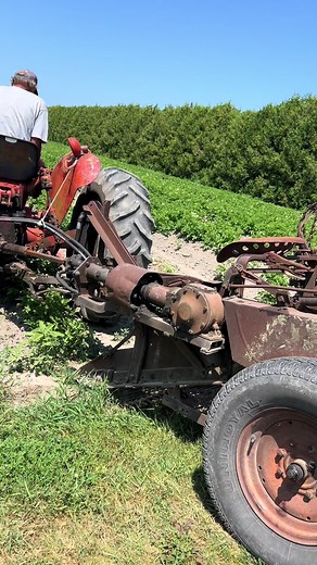 Potato Digger Techniques for Successful Harvesting