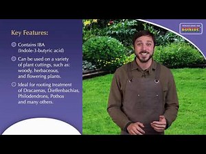 Bonide Rooting Powder