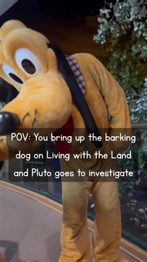 Discover Your Planet on Instagram: "This is why character dining never gets old Pluto investigating the mystery of the barking dog on Living with the Land was not on my bingo card. #GardenGrill #LivingWithTheLand #Pluto #EPCOT #DisneyWorld #WDW #DisneyCharacters #CharacterDining #DisneyDetails #DisneyMagic #DisneyReels #ThemeParkLife #DisneyFans #disneyhumor"