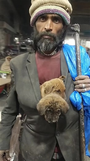 Captain Saleem: A Heavy Metal Dog Lover