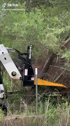 Pullin Elm Trees #danuserintimidator #fypシ #PullandPile #nomorestumps #SedivyTreeShearing