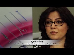 LLETZlearn® Colposcopy Training Simulator