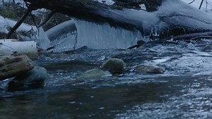 Flowing Stream Log Encrusted Ice Stok Videosu (%100 Telifsiz) 25108709 | Shutterstock