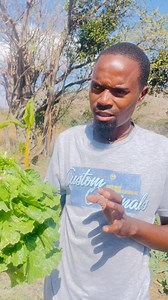 Handei kuSadza😎 | Mu Gove