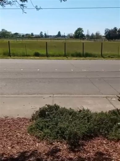 Discover Hidden Rock Carvings: Your Next Geocache Adventure