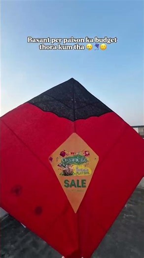 Basant per paison ka budget thora tight tha… par style aur care pe compromise nahi 😌🪁