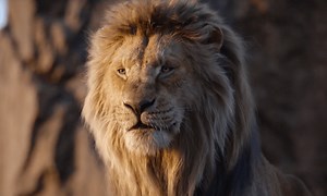 ‘The Lion King’ Review: Disney’s Remake Is a Disastrous Plunge into the Uncanny Valley