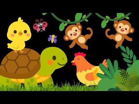 Baby Sensory Video - Visual Stimulation for Newborn - Tummy Time - Sensory Videos for Babies #baby