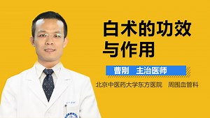 白术介绍 白术的功效与作用有哪些_有来医生