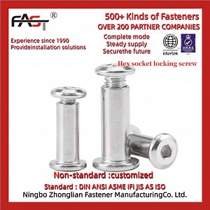 [Hot Item] Heavy-Duty Hex Socket Locking Screws for Construction