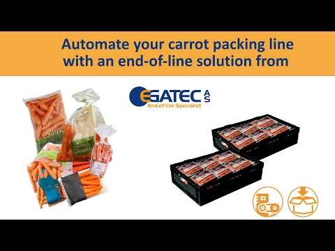 Carrot Case Packaging Solution.