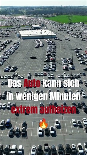 🚗🔥 37 °C draußen – das Auto kann für deinen Hund zur tödlichen Falle werden!
