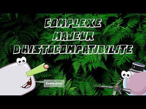 1 - Immunologie : Le CMH (HLA), ou comment les cellules montrent patte blanche.