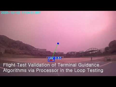 Vision-based Terminal Guidance Algorithm: From Simulation to Flight Test Validation