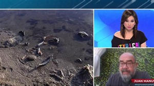 ¿Qué está pasando en el mar Menor? Quién tiene la culpa de que hayan muerto toneladas de peces