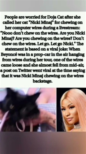 Doja Cat’s cat vs. Nicki Minaj! 😹 The viral wire-chewing joke explained 🔌😳 #DojaCat #NickiMinaj 🎤✨