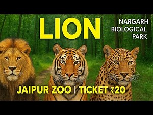 NAHARGARH BIOLOGICAL PARK JAIPUR | JAIPUR ZOO | LION TIGER LEOPARD SAFARI | JAIPUR KA CHIDIYAGHAR