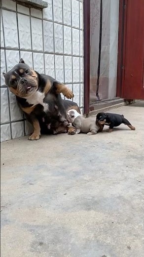 Momma is working overtime to feed her babies 🥹❤️