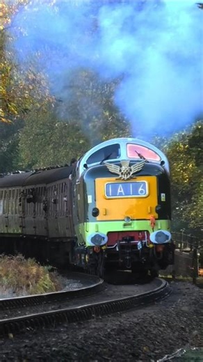 HELLFIRE DELTIC THRASH #class55 #deltic #hellfire #train