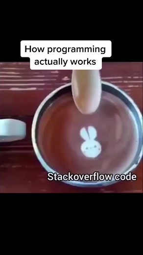 How programming actually works.#programingmemes #developer #meme #foryou #for #funny