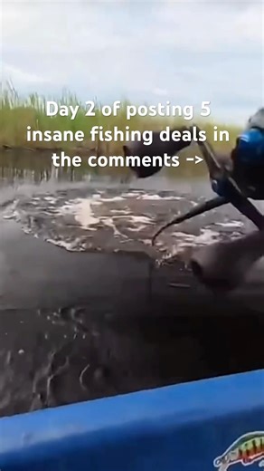 Insanely cheap fishing lures #shorts #fish #fishing #deals #bass #bassfishing #discounts #sale