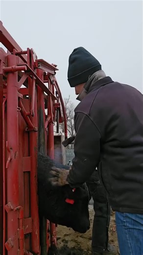 I don't want to tell you how to do your job....but... #funny #joke #react #comedy #humor