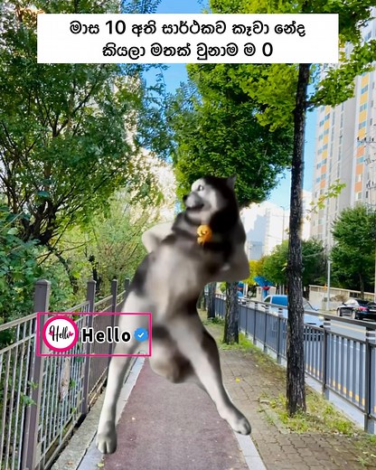 59K views · 656 reactions | Hello November  | 헛험헟헟흝 ツ | Facebook