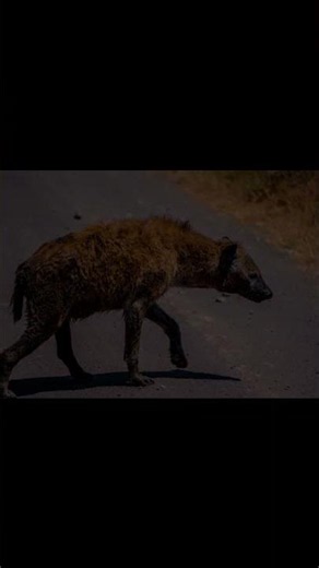 These Animals Faked Their Own Death & It's WILD! #Shorts