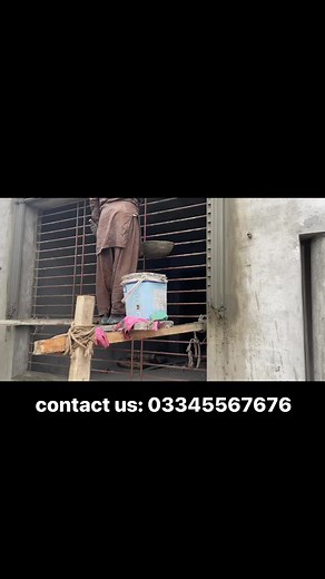 Moulding golla patti design around window | AL-Noor Constructions