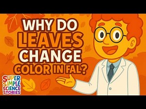 Why Do Leaves Change Color in Fall? 🍂 Nature’s Magic Explained! | Super Simple Science Stories