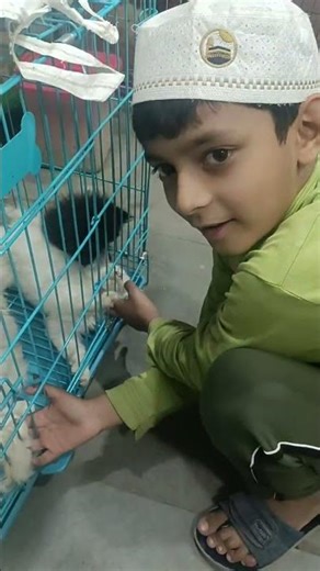 #cutebaby #cute 🐾 kitten 🐈#